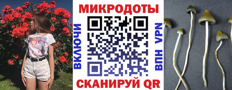 Галлюциногенные грибы Magic Shrooms Знаменск