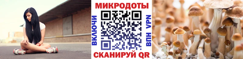 цены наркотик  Знаменск  сайты даркнета телеграм  Псилоцибиновые грибы мухоморы 