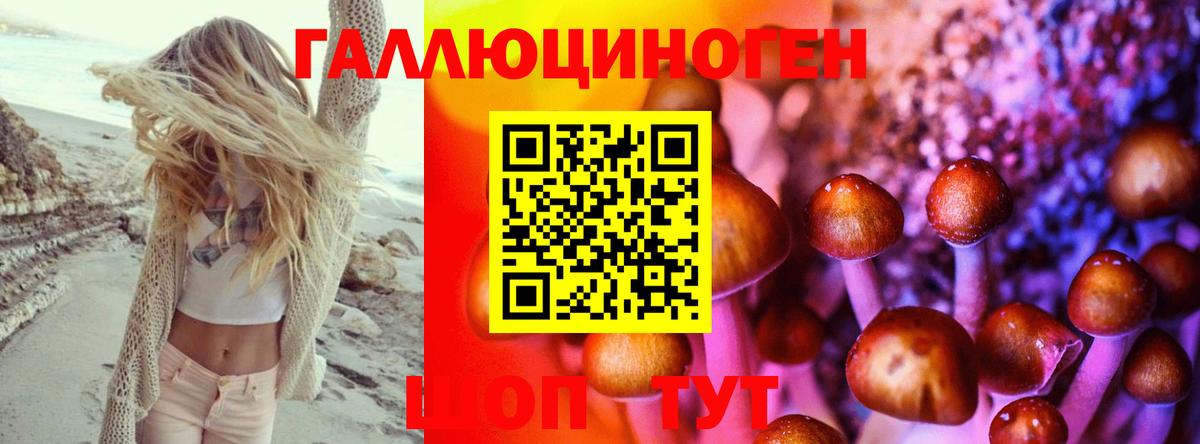 Знаменск  Галлюциногенные грибы мухоморы  Псилоцибиновые грибы MAGIC MUSHROOMS  Вход с VPN 